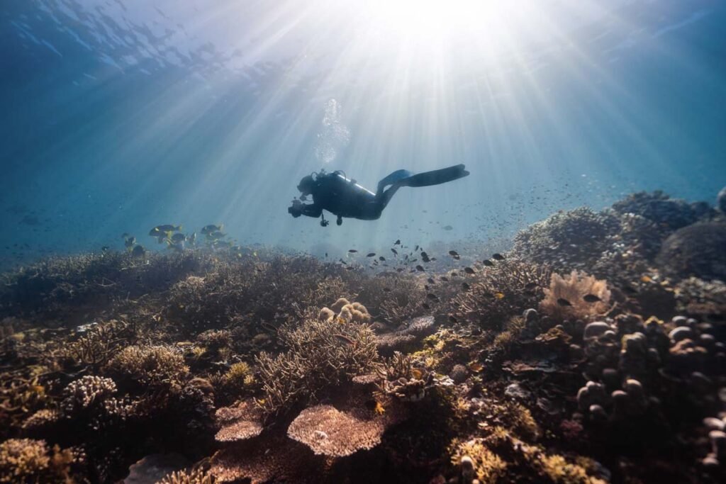 Tauchen in Ustica ist eines der besten Erlebnisse, die Sie auf Sizilien machen können